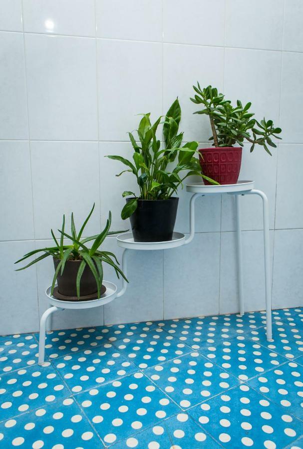 Appartamento Downtown Shelter - Casa Da Praca Aveiro Esterno foto